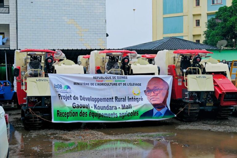 PDRI-GKM : Promesses, Réalités et Leçons pour l’Avenir Agricole de Gaoual, Koundara et Mali
